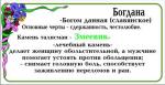 УВЕЛИЧИТЬ Змеевик - Богдана - 3. САМОЕ БОЛЬШОЕ ФОТО
