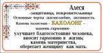 УВЕЛИЧИТЬ Кахолонг - Алеся, Евгения, Злата, Зоя - 3. САМОЕ БОЛЬШОЕ ФОТО