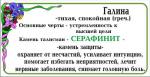 УВЕЛИЧИТЬ Клинохлор (Серафинит) - Галина, Инна, Людмила - 3. САМОЕ БОЛЬШОЕ ФОТО