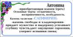 УВЕЛИЧИТЬ Сапфирин - Антонина, Раиса - 3. САМОЕ БОЛЬШОЕ ФОТО