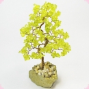 Сосна из Хризолита - долголетие и нравственная чистота